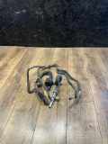 Zirkulationswassermotor NISSAN NP300 NAVARA Pick-up (D23) 2.3 dCi 4x4 (D231) 0392023219