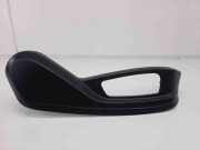 Zierleiste BMW X6 (E71, E72) 7167338