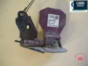 Antenne Dach Audi A4 (8W, B9) 4M0035507