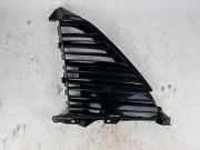 Vorderer oberer Gitter TOYOTA MIRAI (JPD1_) FCV (JPD10_) 5312862070