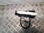 Türgriff links vorne VW Passat B6 CC (357) 3C8839885