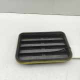 Karosserielüftungsgitter PORSCHE PANAMERA (971) 2.9 4 E-Hybrid 7PP819181A