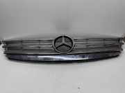 Gitter MERCEDES-BENZ A (W169) A 170 (169.032, 169.332) A1698800983