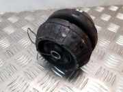 Stoßdämpferaxiallager hinten links MERCEDES-BENZ V (638/2) V 200 CDI (638.294) 6383230420