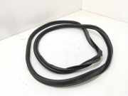 Dichtung für Koffer-/Laderaumklappe Renault Espace V (JR)