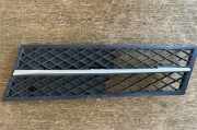 Kühlergrill unten BMW 5er Touring (F11) 7200699
