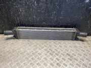 Ladeluftkühler Audi A7 Sportback (4G) 8K0145805R