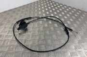 Griff Klappenzug Renault Clio III (BR0/1, CR0/1) 432983