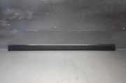 Türverkleidung rechts vorne Volvo S80 I (184)