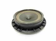 Türlautsprecher vorne links