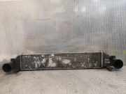 Ladeluftkühler MERCEDES-BENZ C (W203) C 270 CDI (203.016) 2035000000