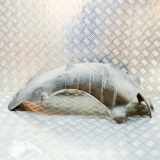 Vorderer Teil der Kotflügelinnenseite HYUNDAI IONIQ (AE) Electric 86824-G2000