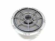 Türlautsprecher hinten links