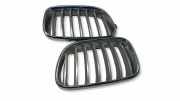 Vorderer oberer Gitter BMW X3 (F25) xDrive 30 d 7210725