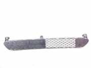 Gitter vorne unten TOYOTA AYGO (_B1_) 1.0 (KGB10_) 531120H010