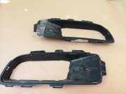 Ziergitter BMW X5 (E70) 51117172450