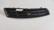Gitter vorne unten VW PASSAT B6 (3C2) 2.0 TDI 16V 3C0853666