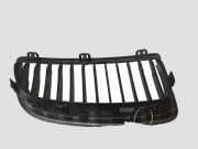 Vorderer oberer Gitter BMW 3 (E90) 320 d 22405910