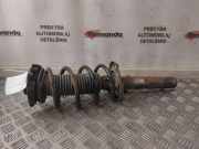 Stoßdämpfer vorne rechts VW GOLF VIII (CD1) 1.0 TSI 1K0413031BE