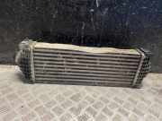 Ladeluftkühler Ford Transit Custom V362 Kasten (FY, FZ) GK216K775AE