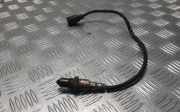 Sauerstoffsensor (Lambdasensor) LAND ROVER RANGE ROVER EVOQUE (L538) 2.0 D 4x4 GJ329D375AB