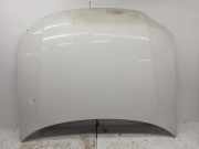 Motorhaube VW Passat B5.5 Variant (3B6)