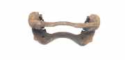 Halter für Bremssattel Ford Transit Pritsche (F**6)