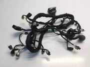 Motor Kabelbaum FORD KUGA III (DFK) 2.5 Duratec Plug-in-Hybrid KU5T12C508B6EJ3