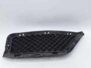 Kühlergrill unten BMW X1 (E84) 51117303754