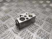 A/C Conditioner Expansion Valve AUDI A3 (8P1) 2.0 TDI 1k0820679 1k2820103