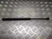 Heckklappe Gasdruckfeder rechts RENAULT MEGANE I Classic (LA0/1_) 1.6 i (LA0L) 095113 GS10309
