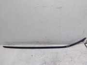 Zierleiste Windschutzscheibe Frontscheibe FORD B-MAX (JK) 1.0 EcoBoost AM51R03194