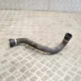 Wasserkühlerschlauch rechts