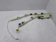 Dach SRS rechts FORD GRAND C-MAX (DXA/CB7, DXA/CEU) 2.0 TDCi 1E0762800