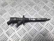 Düsenstöcke Peugeot Expert I Kasten (222) 0986435093