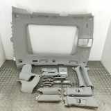 Dachverkleidung AUDI Q5 (8R) SQ5 TDI quattro 8R0867246M 8R0867288B