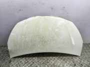 Motorhaube TOYOTA YARIS (_P13_) 1.4 D-4D (NLP130_)