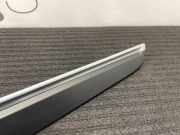 Türverkleidung vorne links