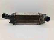 Ladeluftkühler Citroen C5 II Break (RE) 818853