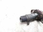 Düsenstöcke Peugeot 307 CC () 9656389980