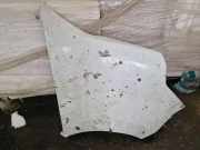 Kotflügel vorne rechts OPEL MOVANO Furgon (F9) 3.0 DTI