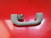 Dachgriff hinten links