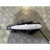 Türaußengriff hinten links BMW X5 (E70) xDrive 35 i