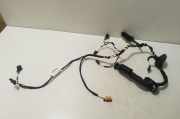 Kabel Tür VW Tiguan I (5N) 5NA971694K