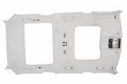 Dachverkleidung LAND ROVER DISCOVERY V (L462) 3.0 D 4x4 HY32-519C42-CA