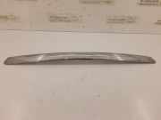 Kennzeichenbeleuchtung MERCEDES-BENZ B (W245) B 150 (245.231) 17595017