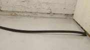 Dachleiste links MERCEDES-BENZ S Coupe (C217) S 63 AMG (217.377) A2176900162