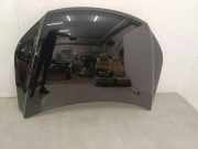 Motorhaube VW TIGUAN (5N_) 2.0 TDI 4motion