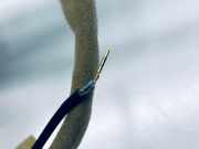 Antenne Dach Suzuki SX4 S-Cross (JY) 3995062M00000