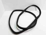 Dichtungsgummi der hinteren Tür (an der Karosserie) BMW X5 (E70) xDrive 40 d